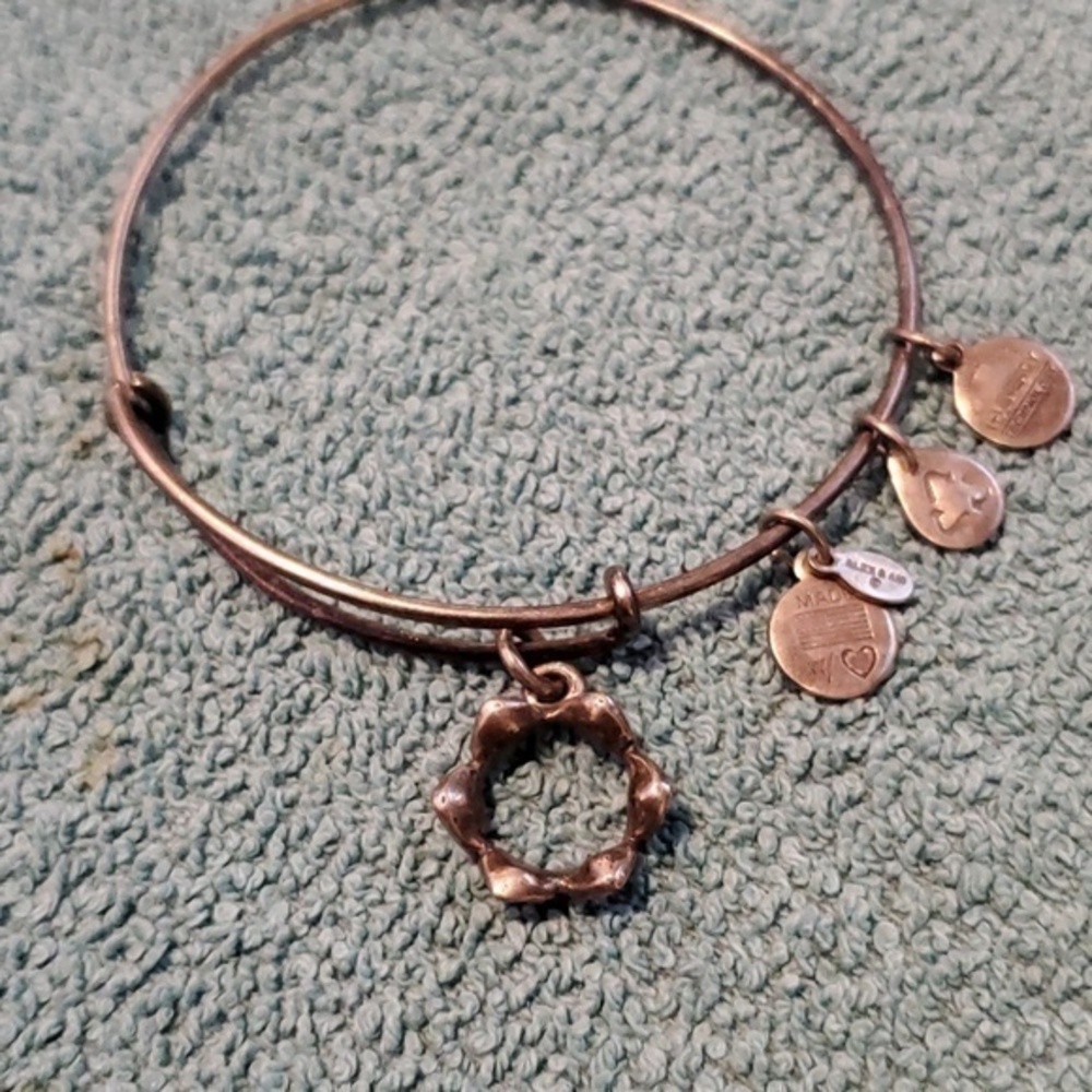 Alex & Ani Bangle Bracelet
